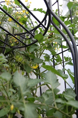 Dsc 0190