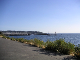 The shore at Golden Gardens, August 1, 2004 golden gardens