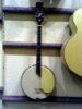 Treo 042305 007