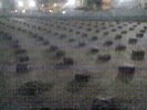 Treo 091905 021